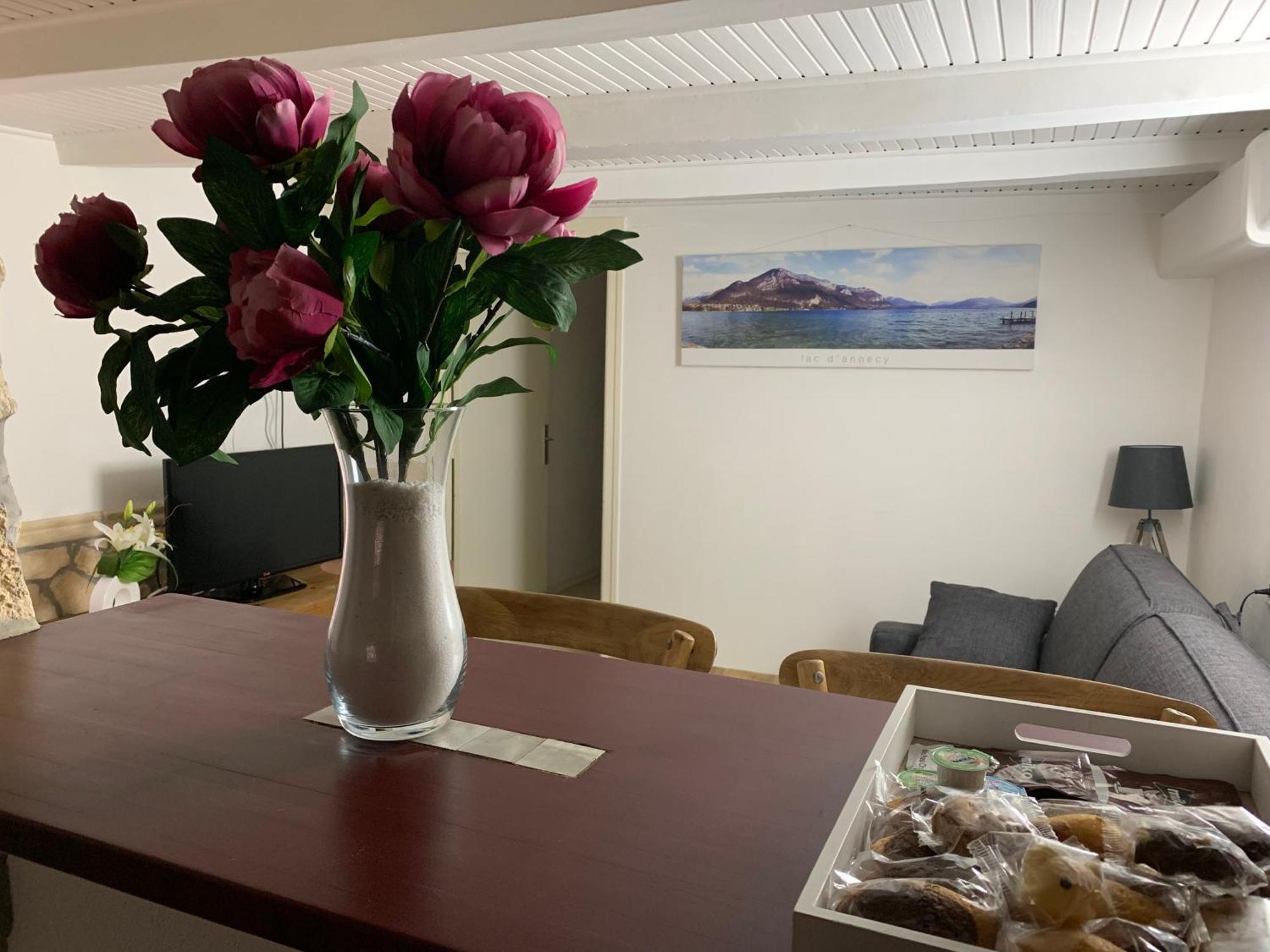 Annecy Sainte Claire Vieille Ville 38M2 Terrasse Proche Gare Et Lac 4 Pers 3 Etoiles Εξωτερικό φωτογραφία
